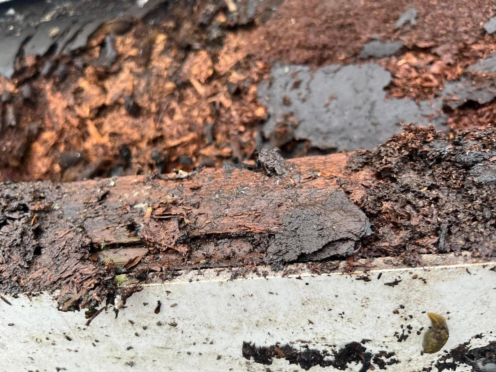 Roof Surface Damage Close-Up